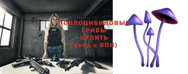 ГАЛЛЮЦИНОГЕННЫЕ ГРИБЫ Алексин