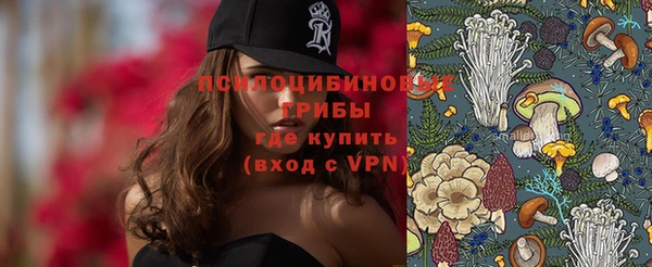 спиды Алзамай