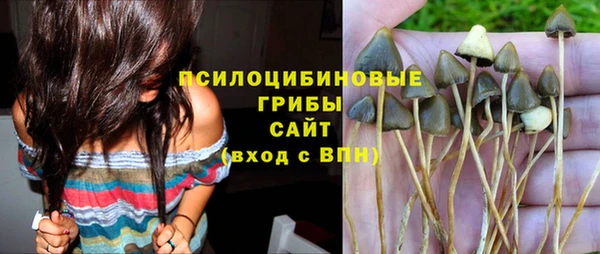 спиды Алзамай